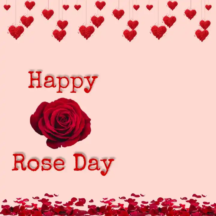Rose day banner design 